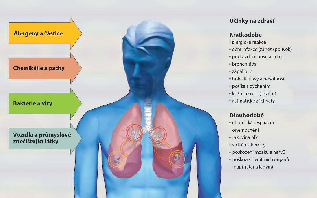 Znečištění ovzduší - účinky na zdraví